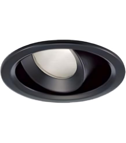 Amazon.co.jp: 大光電機（DAIKO） ユニバーサルダウンライト LED